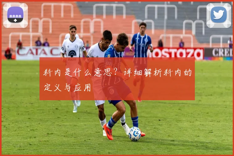 科内是什么意思？详细解析科内的定义与应用